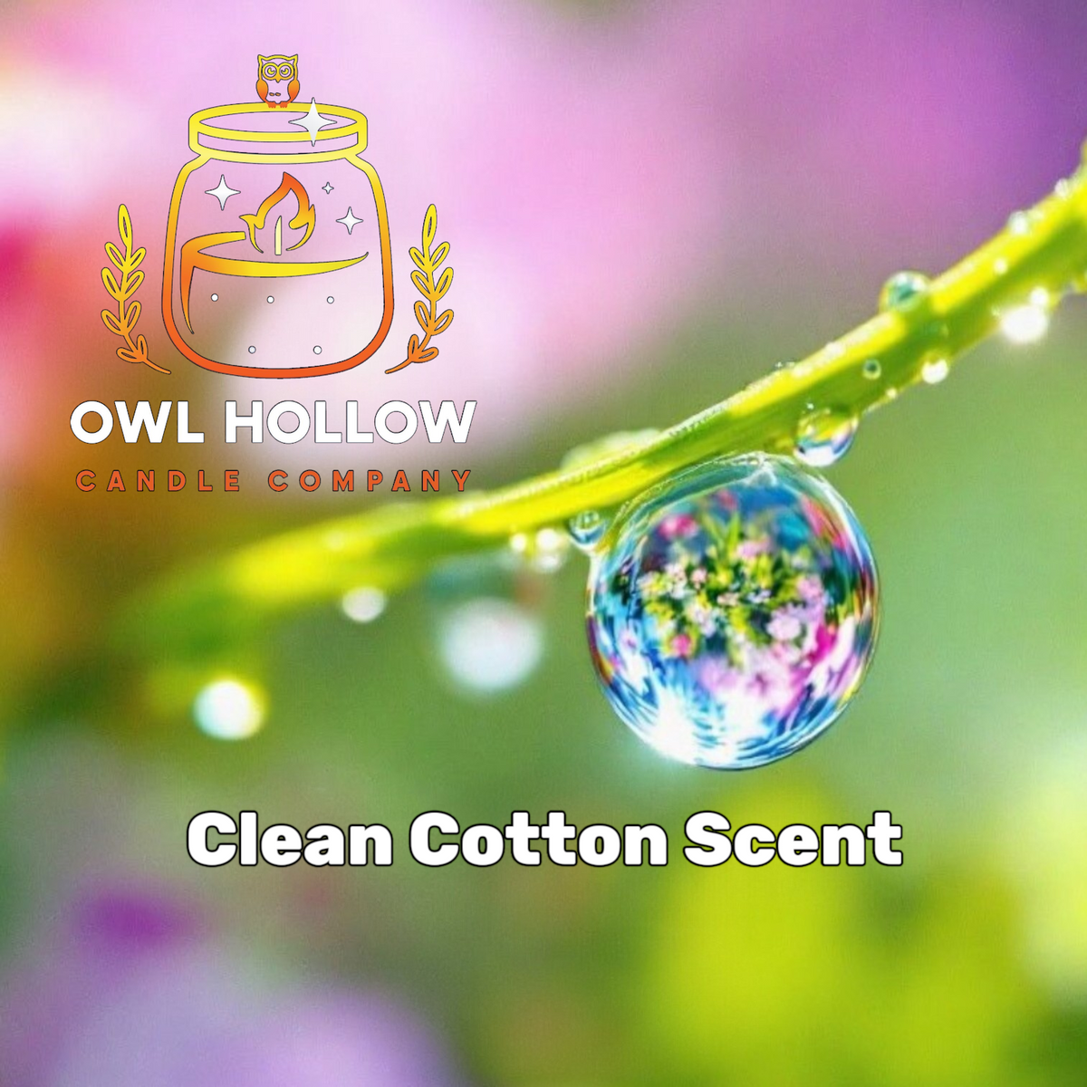Owl Hollow Candle Company Clean Cotton scent graphic featuring water droplets on a green stem against a colorful blurred background.