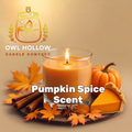 Lit Pumpkin Spice candle with orange wax in a clear glass jar, surrounded by a pumpkin, pumpkin pie, cinnamon sticks, and autumn leaves, with Owl Hollow Candle Company branding.